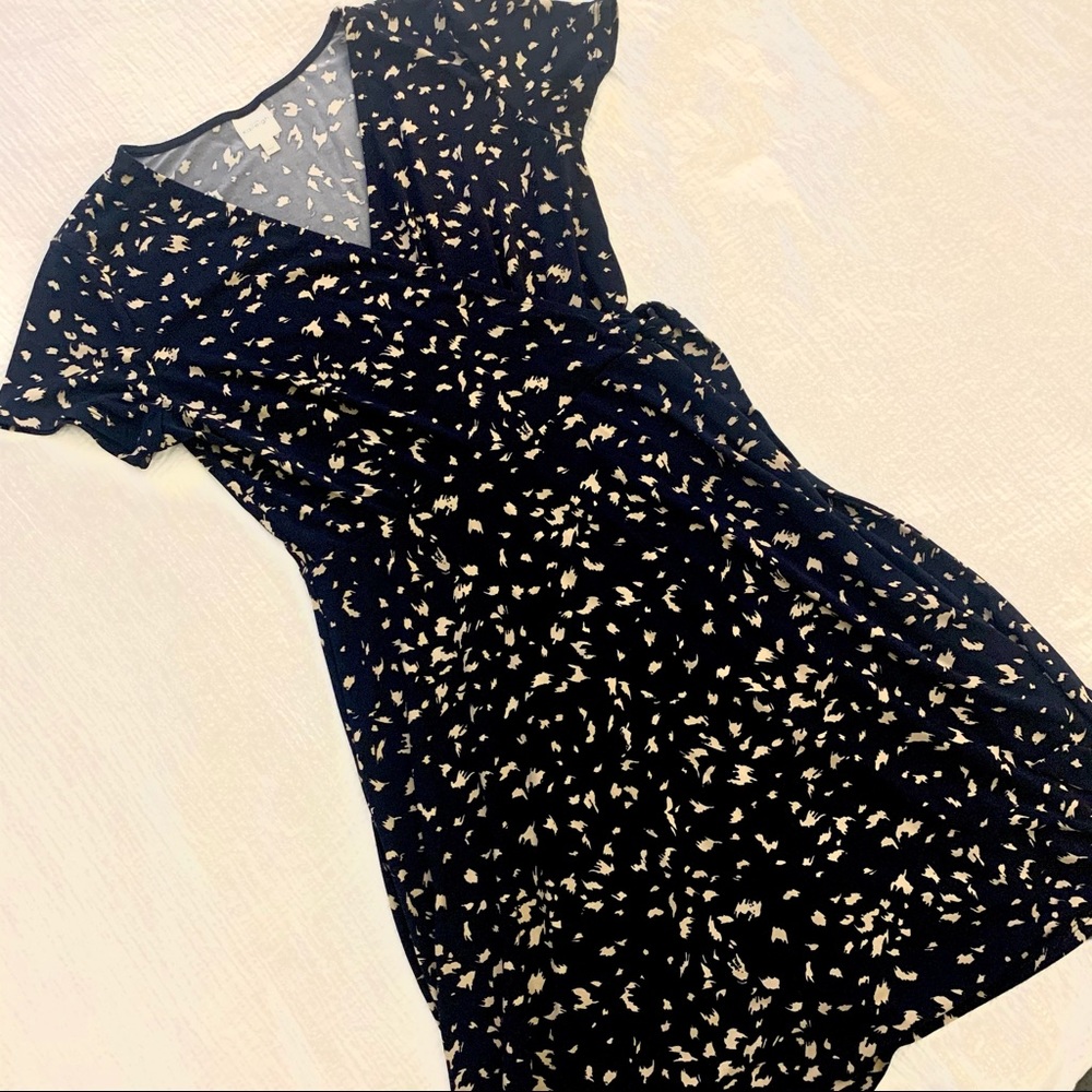 Kaleigh (stitch fix) A-Line Animal Print dress